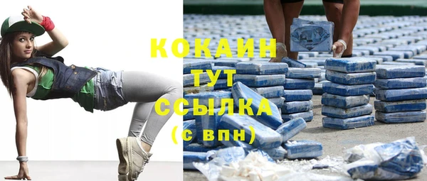 мдпв Кинешма